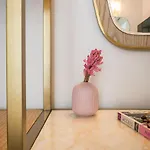 Hotel Rose Bourbon 3*